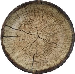 Kutahya Porselein Nano Krem Serviesset (24 Delig) 6 Personen - NNTS24Y2894010 -Beste Thuiskeuken 1200x1197 11