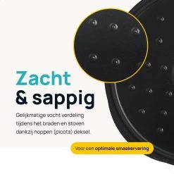 MOA Gietijzeren Braadpan - Inhoud 7,1 Liter - 29CM - Rond - Alle Warmtebronnen - Ook Voor Inductie - Gewicht 7,6 Kg - Zwart - MC29B -Beste Thuiskeuken 1200x1200 585