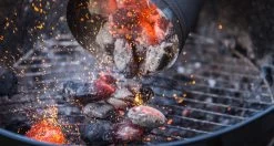 THM Houtskoolbriketten - Voordeelpak - 18kg 9 THM Houtskoolbriketten - Voordeelpak - 18kg -Beste Thuiskeuken 1200x642 2