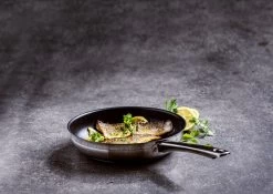 BK Allround Koekenpan Ø 24 Cm - Inductie - PFAS-vrij 20 BK Allround Koekenpan Ø 24 Cm - Inductie - PFAS-vrij -Beste Thuiskeuken 1200x851