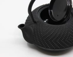 Bredemeijer - Theepot Fujian 1.2L Met Filter -Beste Thuiskeuken 1200x945 5