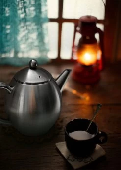 Vaja Valerie - Theepot Met Filter - Dubbelwandig - RVS - 1.2L -Beste Thuiskeuken 857x1200 1